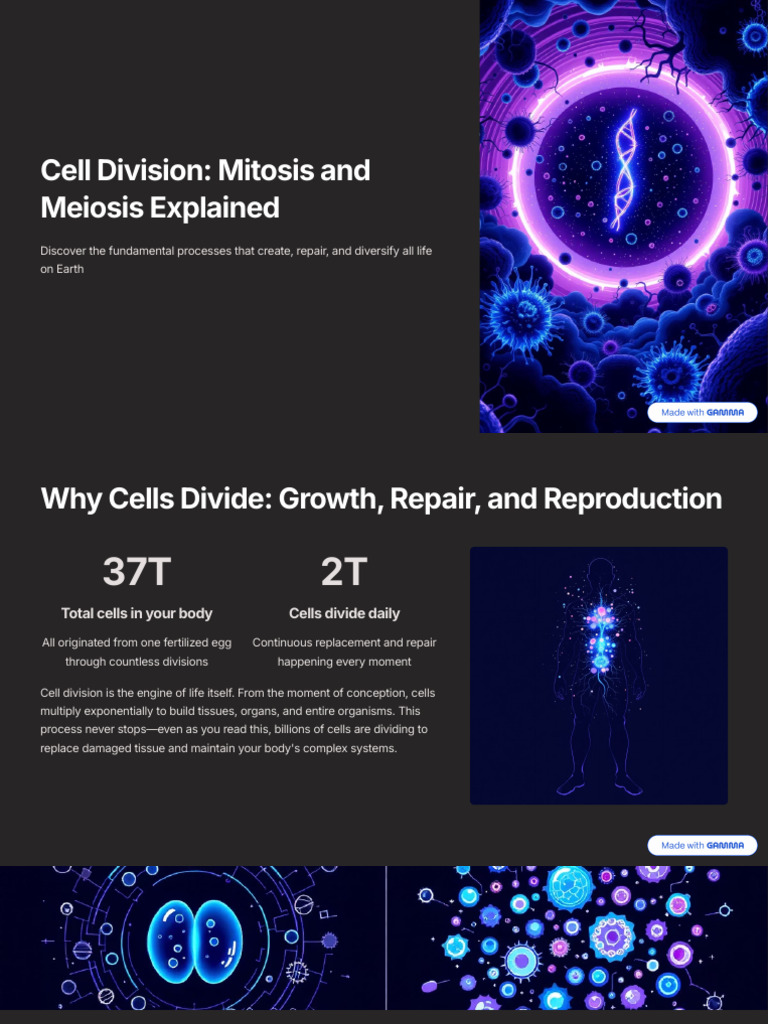 Cell Division Mitosis and Meiosis Explained | PDF | Meiosis | Mitosis