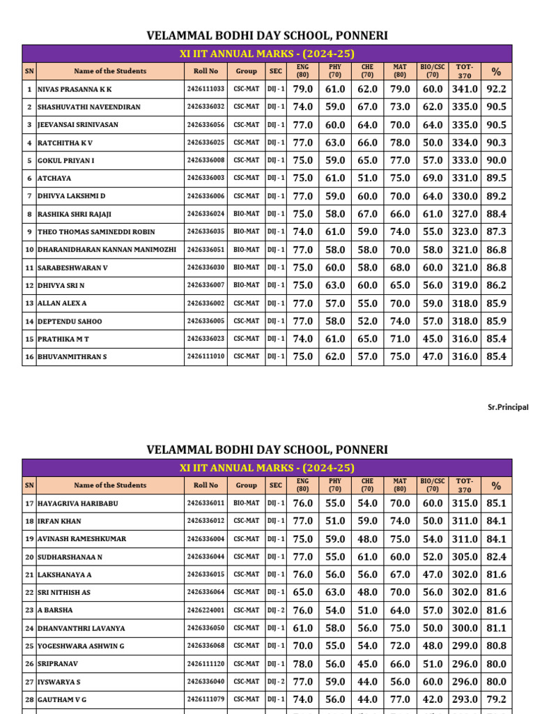 XI IIT Annual Marks 2024-25 Report | PDF