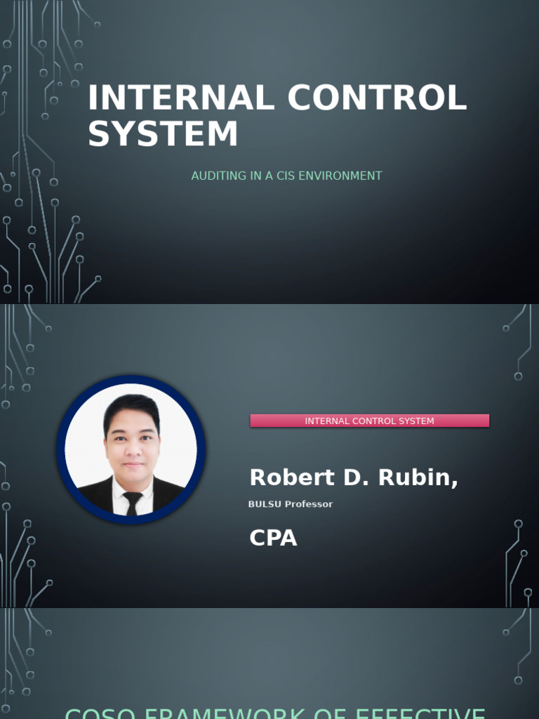 COSO Internal Control System Guide | PDF | Internal Control | Risk
