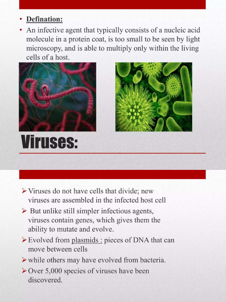 Classification of Virus | PDF