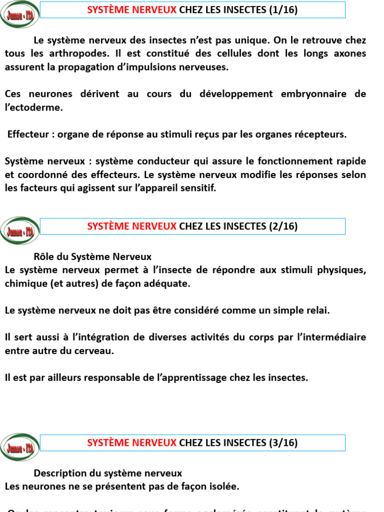 Système nerveux des insectes | PDF | Système nerveux | Neurone