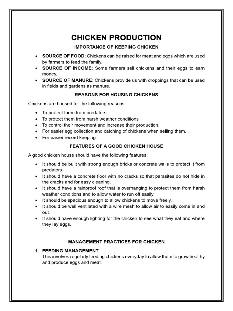 Chicken Production | PDF | Poultry Farming | Parasitism
