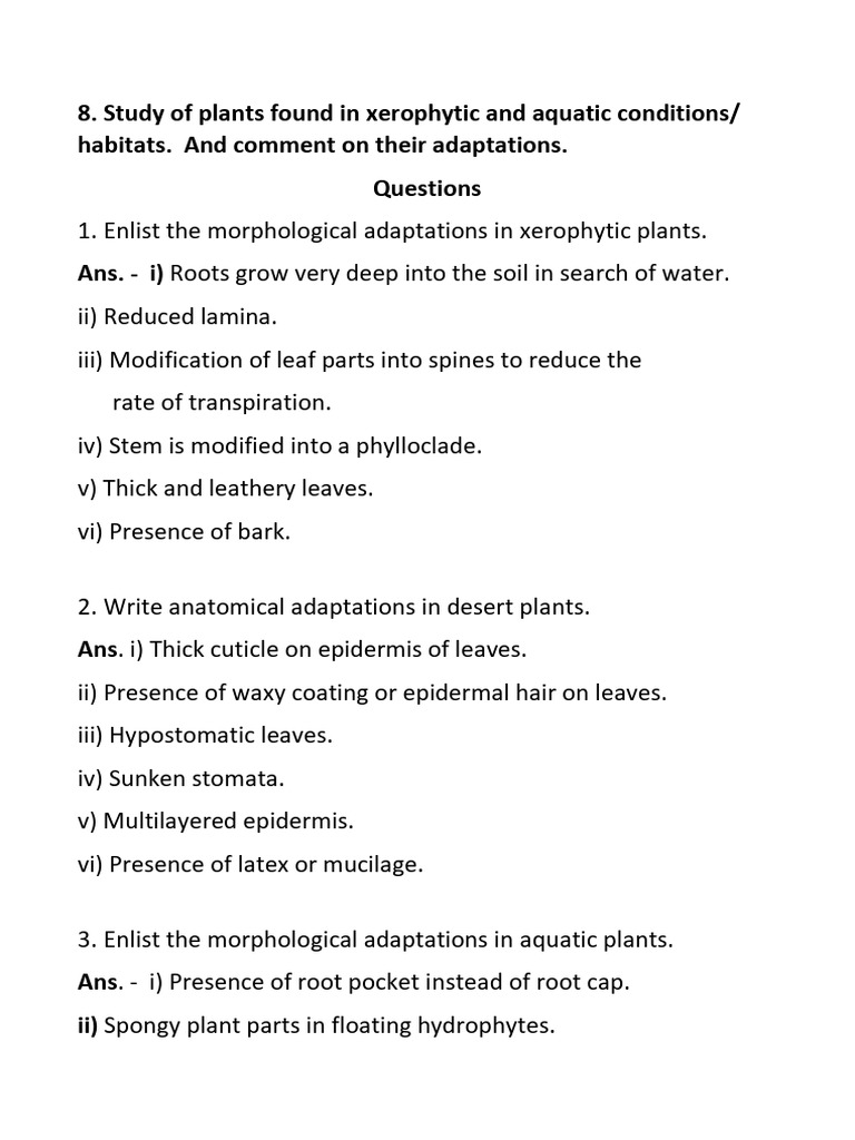 Xerophytic and Aquatic Adaptations | PDF