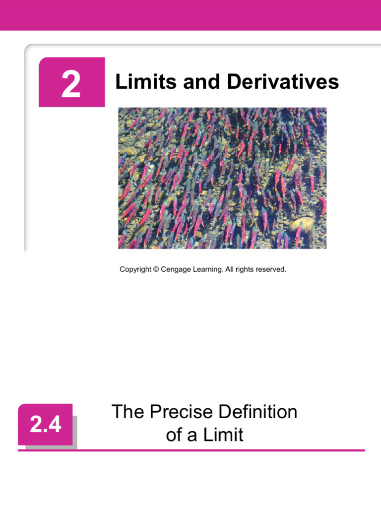 Precise Definition of Limits Explained | PDF | Function (Mathematics ...