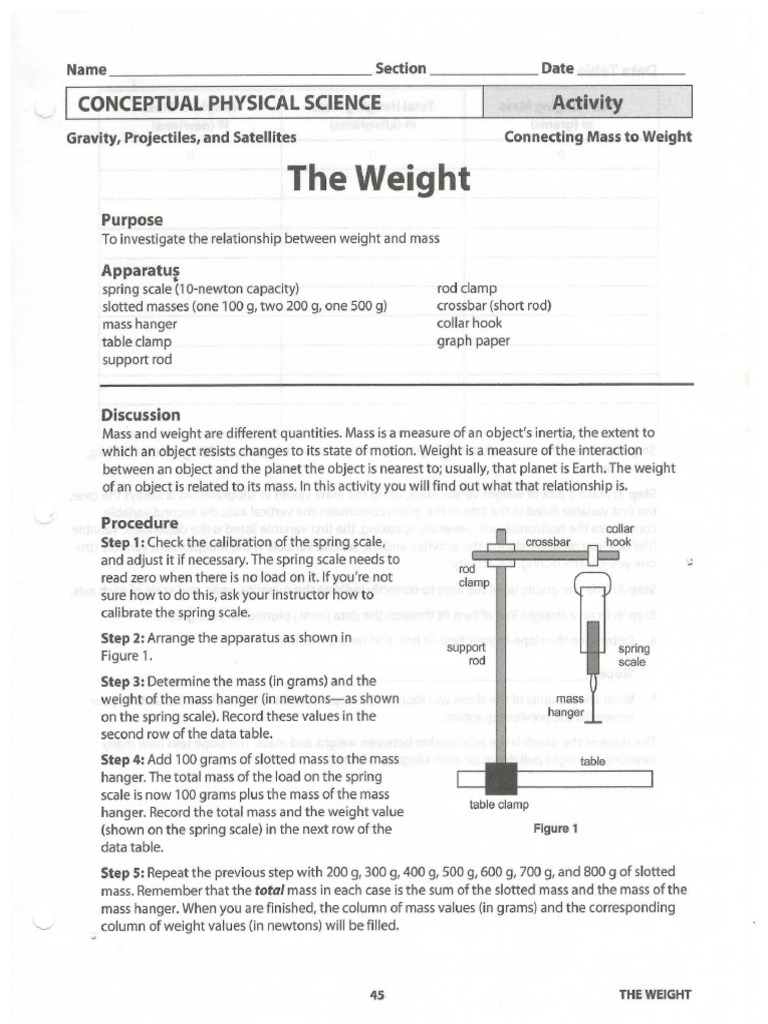 The Weight | PDF