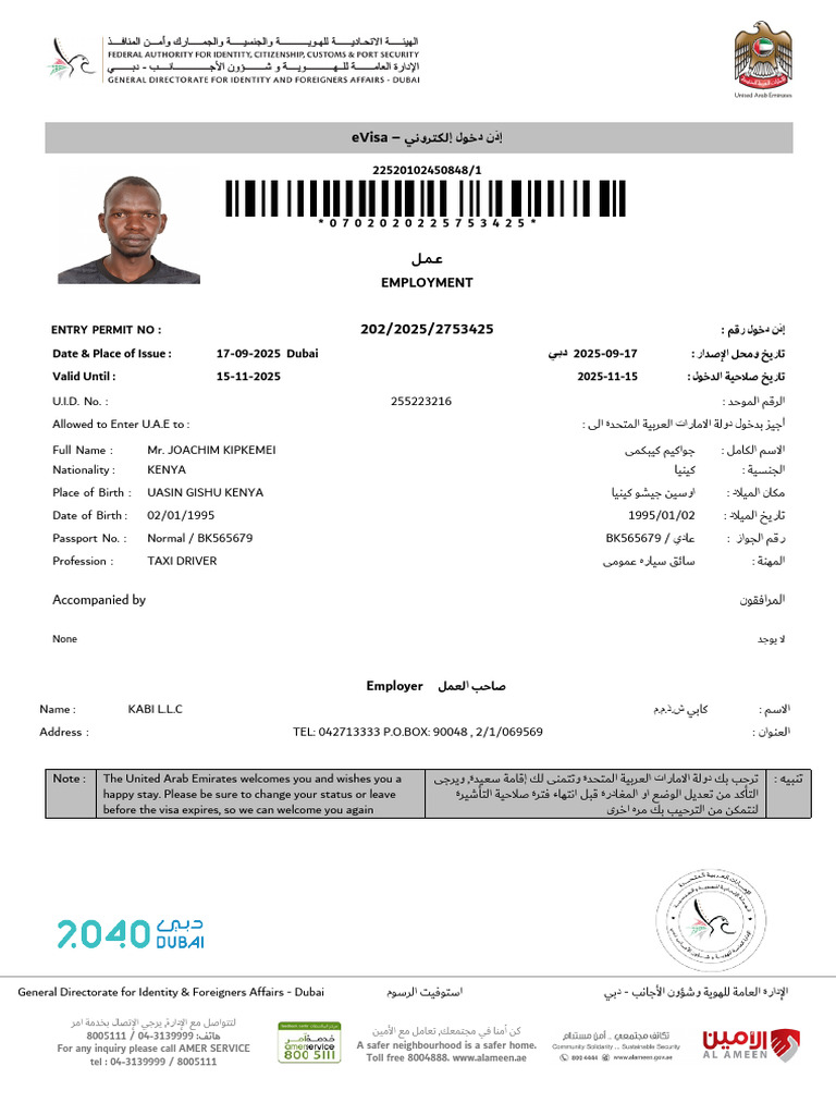 E Visa | PDF | Government And Personhood | Human Migration