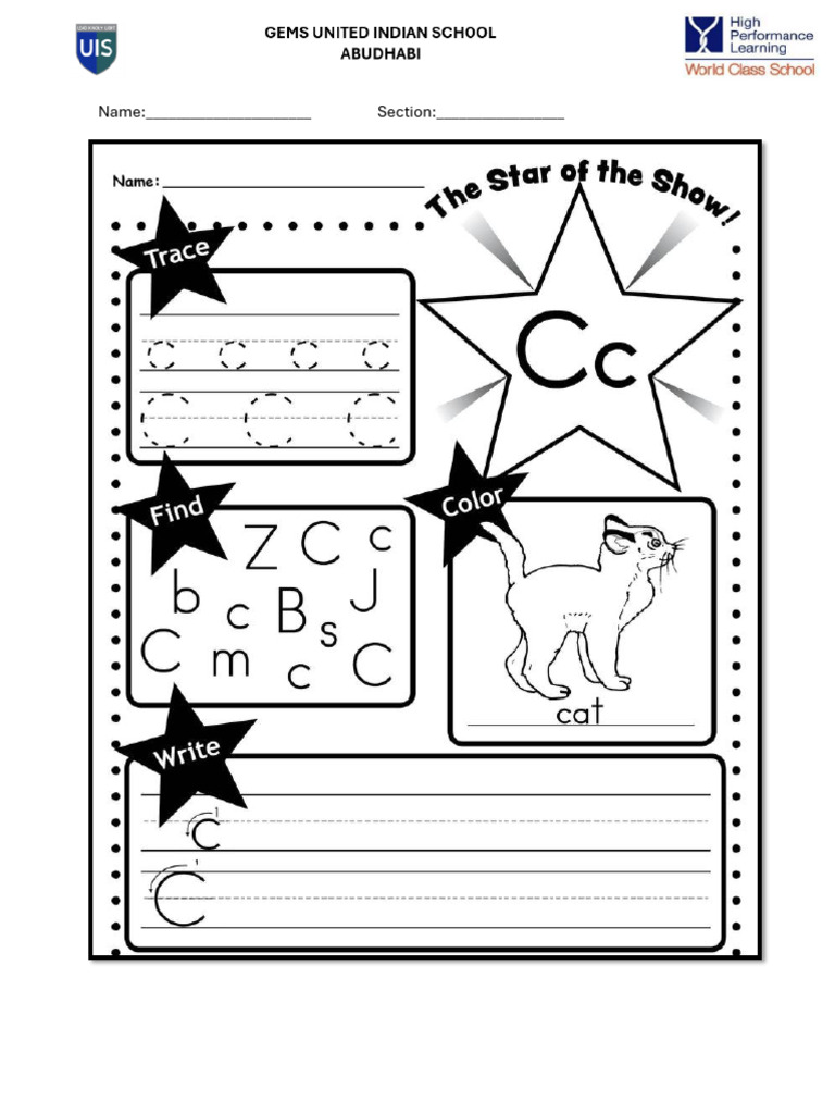 Literacy - Optional Task Sheet | PDF
