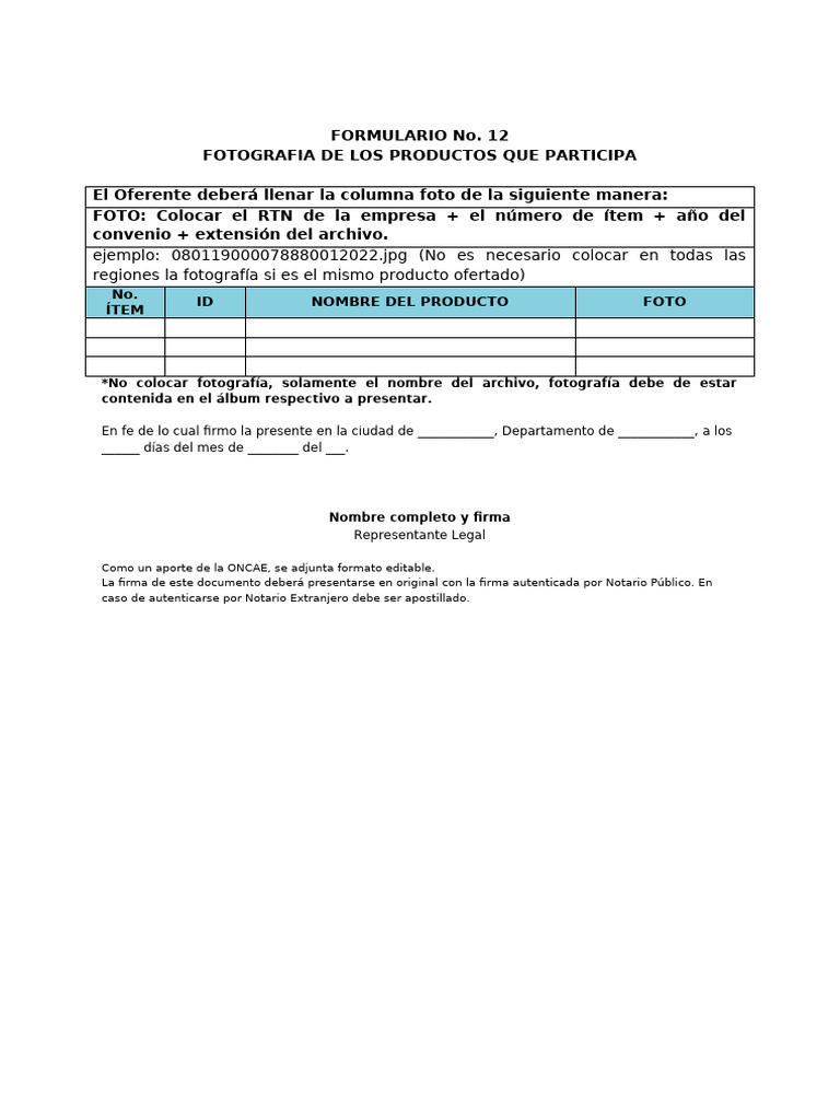 Formulario No 12 | PDF