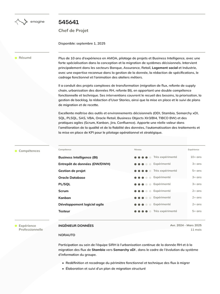 Expert en gestion de projets BI et AMOA | PDF | Informatique ...