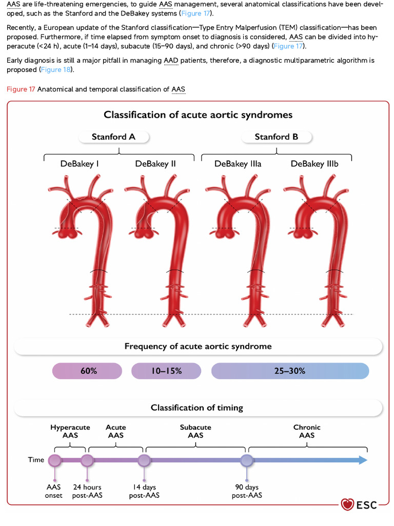Acute Aortic Syndrome Management Guidelines | PDF | Physiology ...