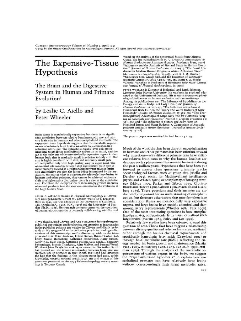 Expensive-Tissue Hypothesis Explained | PDF | Brain | Biology