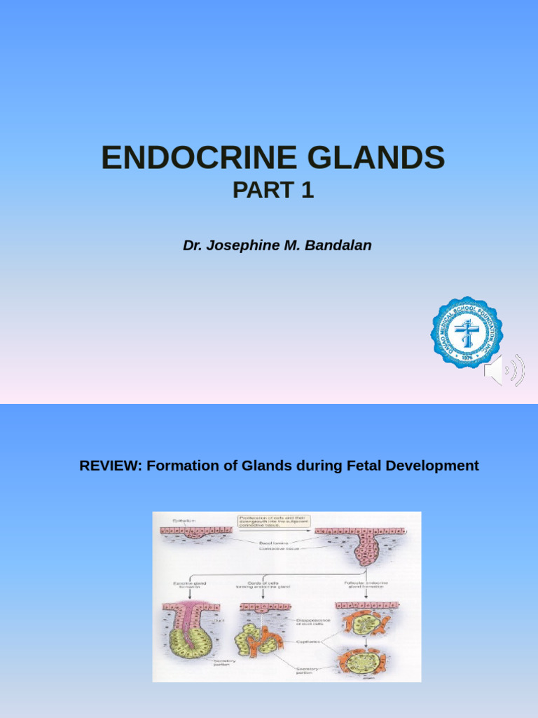 Overview of Endocrine Glands and Hormones | PDF | Endocrine System ...