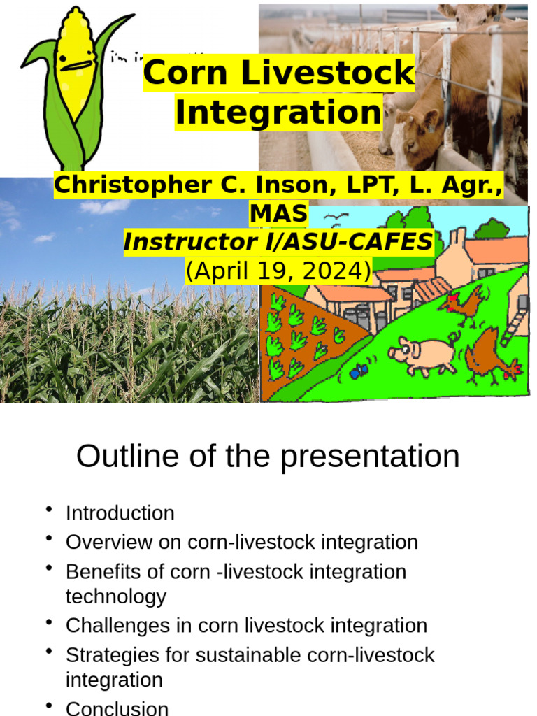 Corn-Livestock Integration Benefits | PDF | Animal Feed | Maize