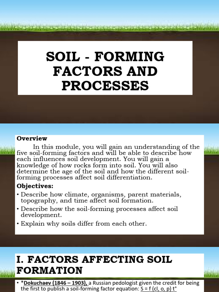 Soil Forming Factors and Processes | PDF | Soil | Weathering