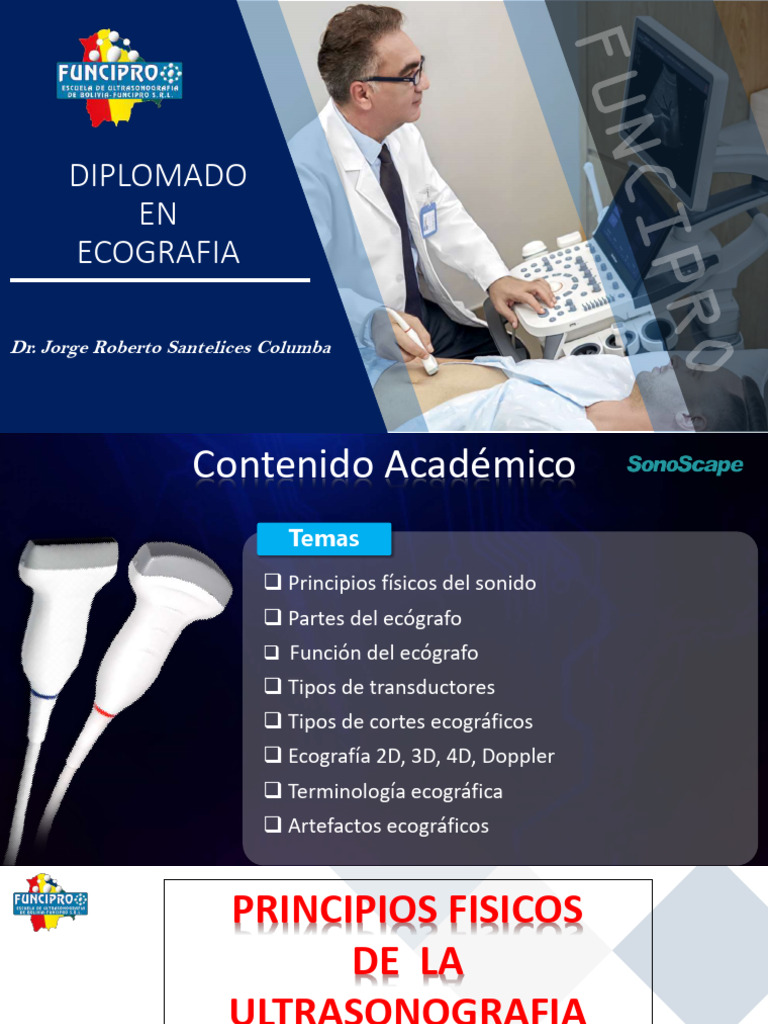 Diplomado en Ecografía y Ultrasonido | PDF