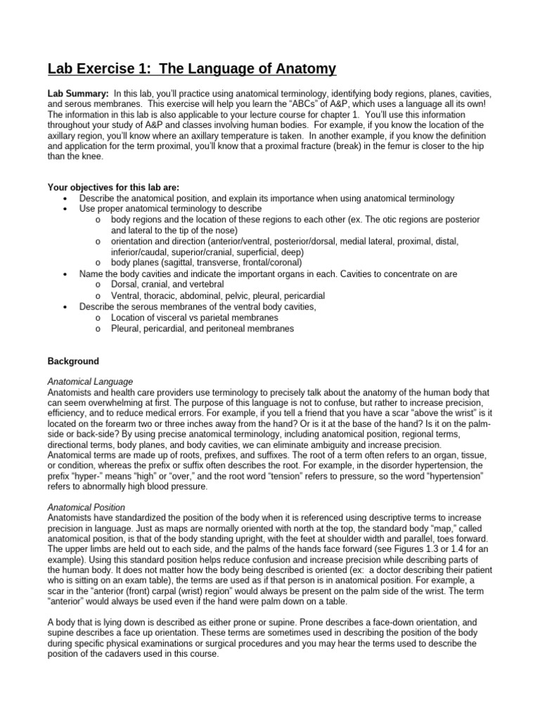 Lab 1-The Language of Anatomy 6qDLLKF | PDF | Anatomical Terms Of ...