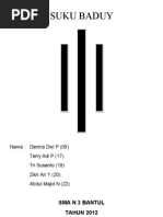 Download baduy by Stimco All SN92459438 doc pdf