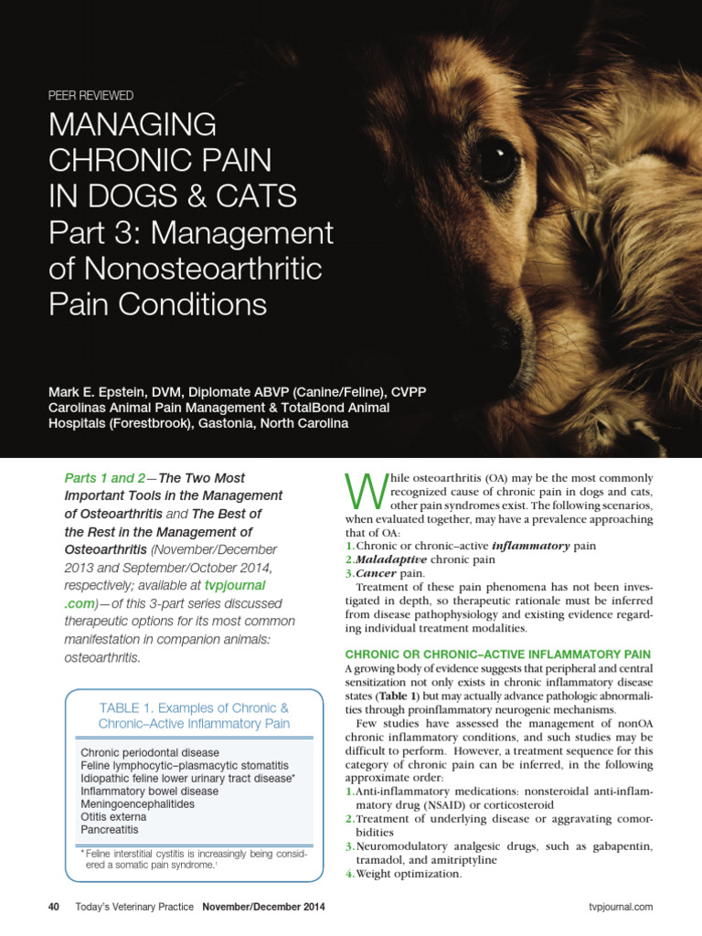 Managing Chronic Pain in Pets | PDF | Analgesic | Opioid - Chronic Pain In Dogs From Old Wounds