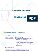 45263070 Pencernaan Protein