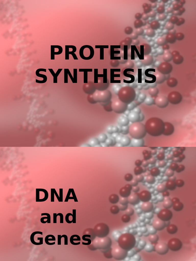 Understanding Protein Synthesis Process | PDF | Translation (Biology) | Rna