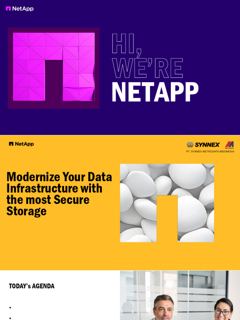 NetApp FAS2820: Secure Data Solutions | PDF | Computer Science ...