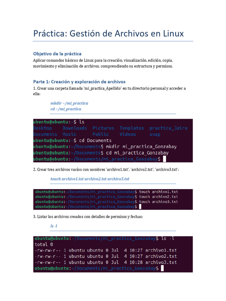 Gestión de Archivos Básica en Linux | PDF | Archivo de computadora ...