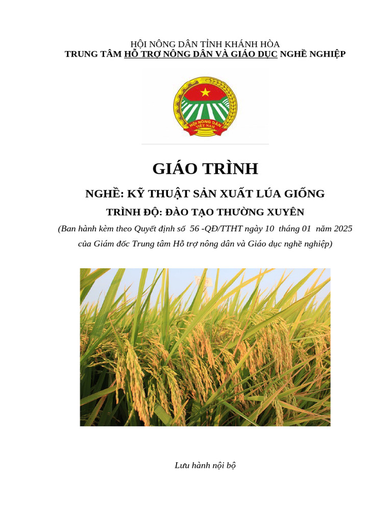 Giáo Trình. Cây Lúa | PDF