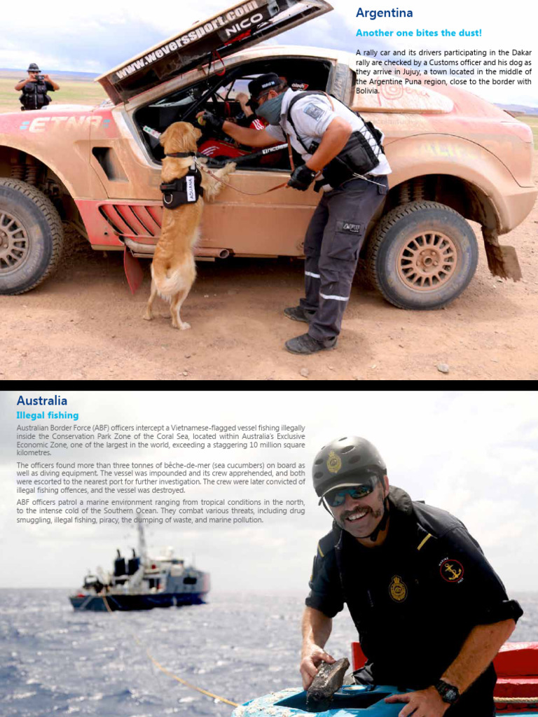 Global Customs Operations Overview | PDF | Customs | Smuggling