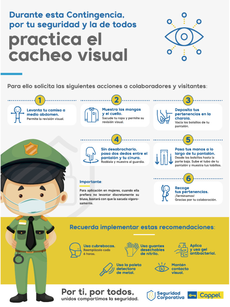 Cacheo Visual Actual | PDF