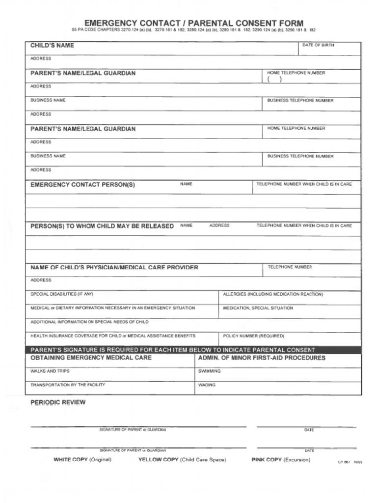 OST 2025-26 Application Form | PDF
