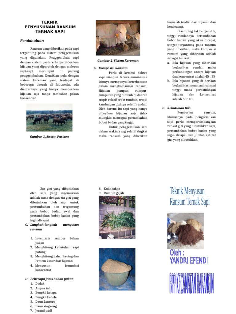 Ransum Optimal untuk Penggemukan Sapi | PDF