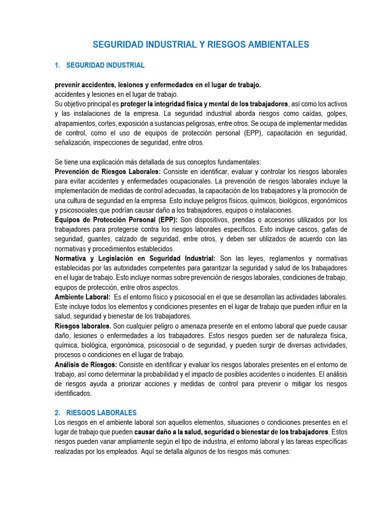 Seguridad Industrial y Riesgos Laborales | PDF | Seguridad y salud ...