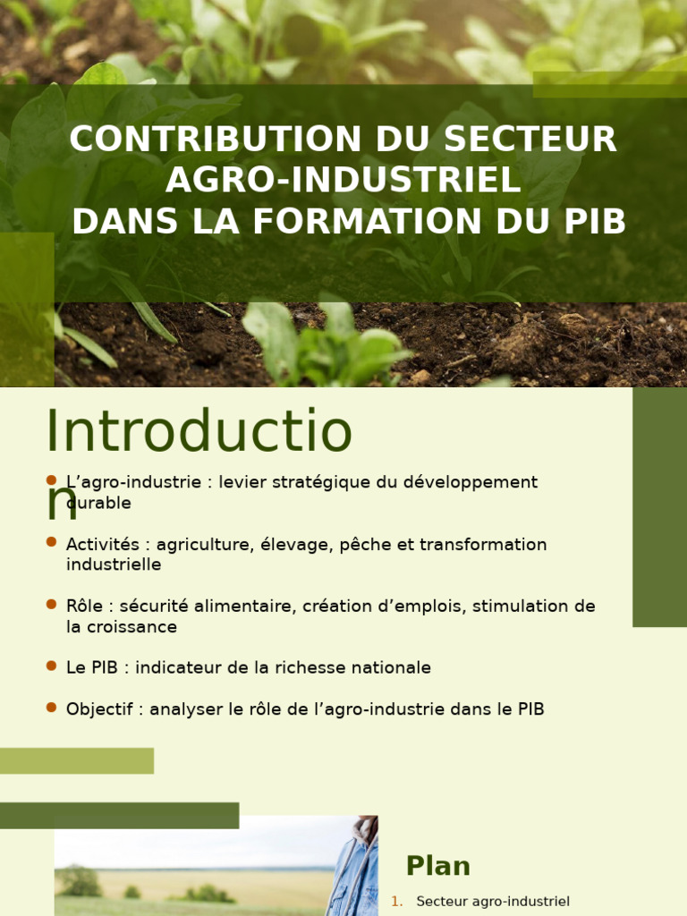 Agro-industrie et PIB : Impact et enjeux | PDF | Produit intérieur brut ...