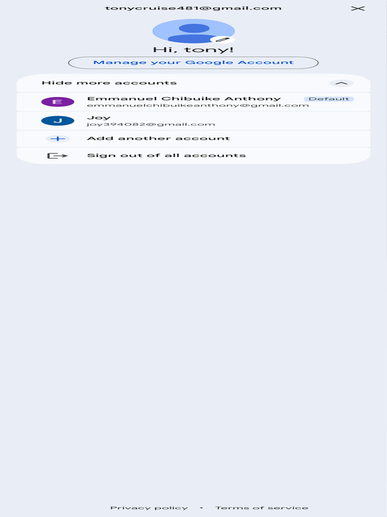 Manage Your Google Account Privacy | PDF