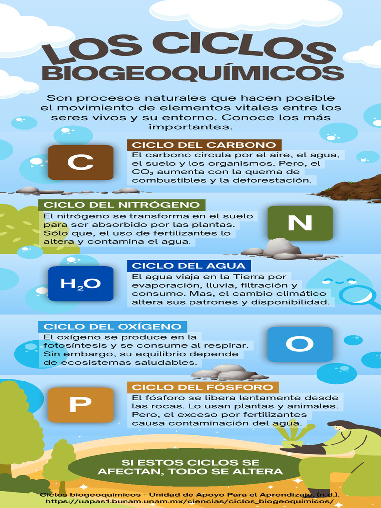 Infografía de Ciclos Biogeoquímicos en La Naturaleza | PDF