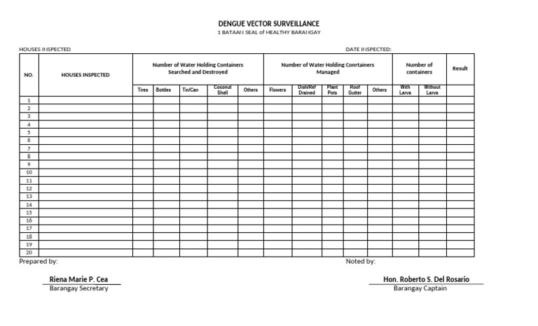 Dengue Vector Surveillance Template | PDF