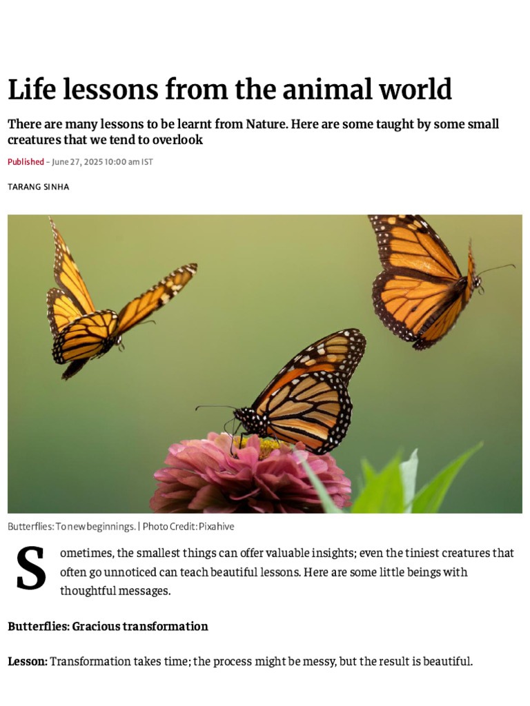 Life Lessons from Small Creatures | PDF | Butterfly | Insects