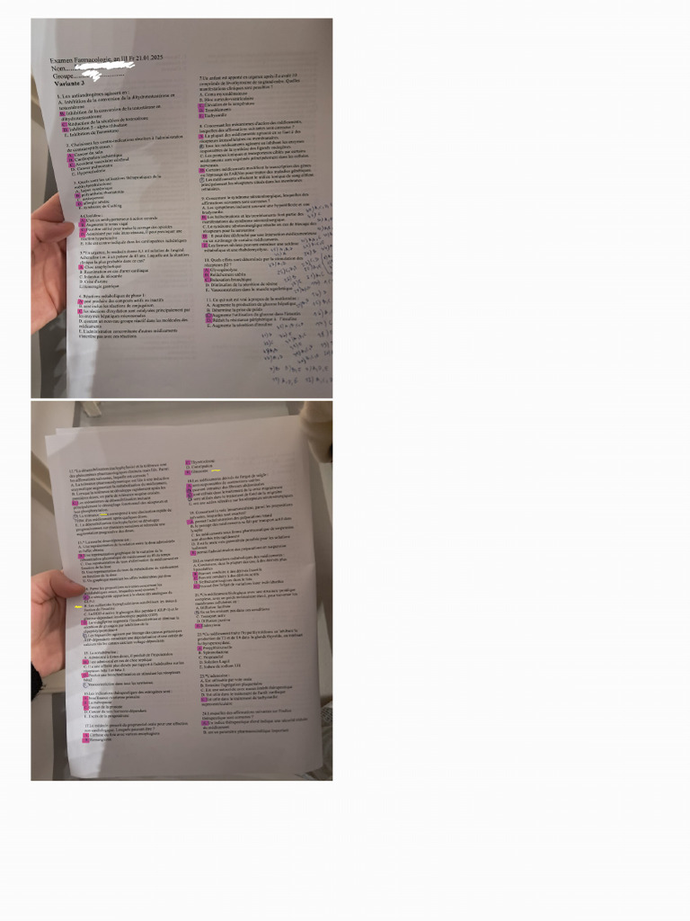 PDF Merged | PDF