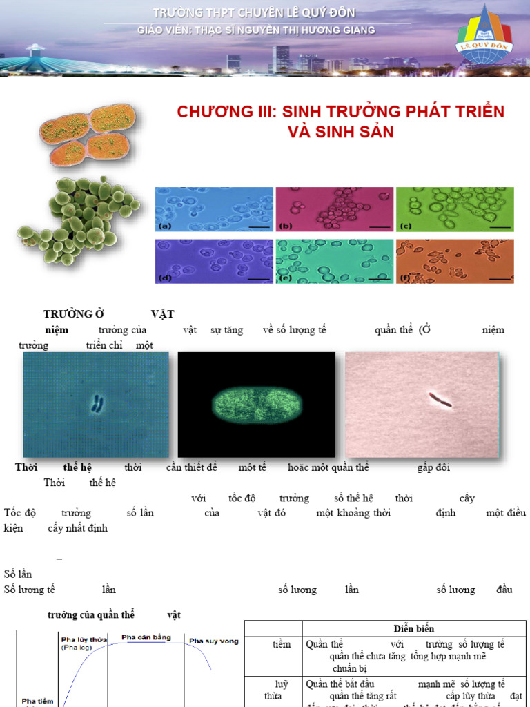 Sinh Truong Phat Trien Va Sinh San | PDF