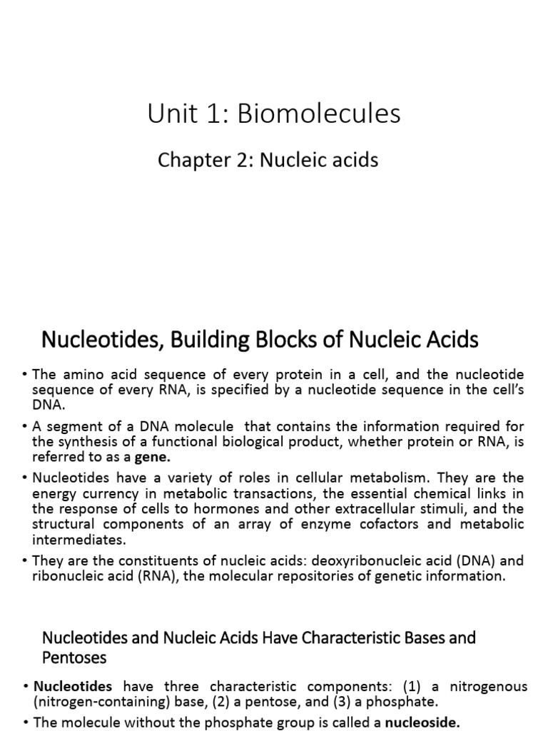 Nucleotide Linkages in Nucleic Acids | PDF | Nucleotides | Nucleic Acids