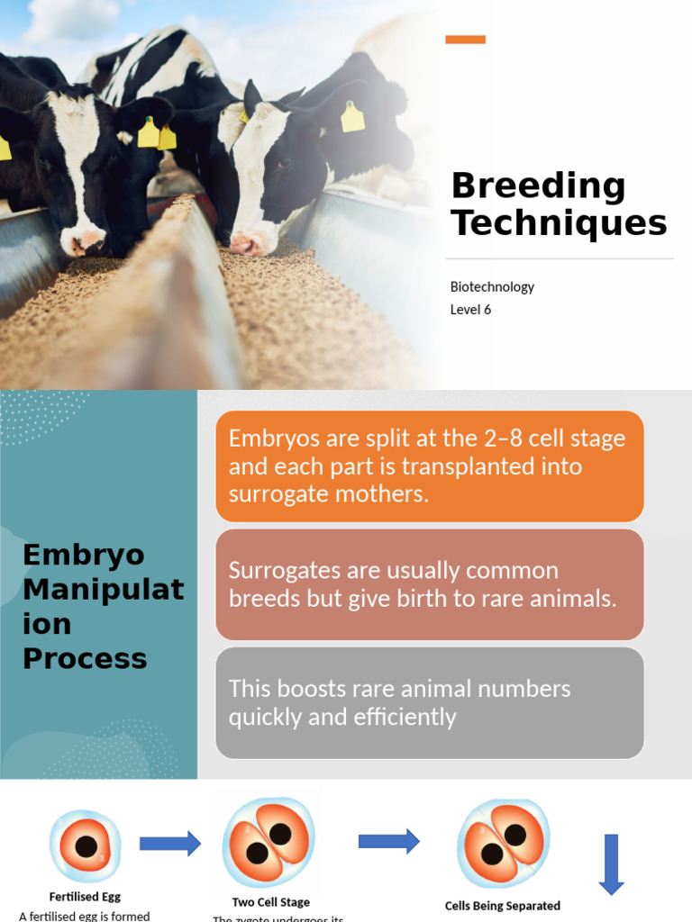 Breeding Techniques | PDF | Cloning | Embryo