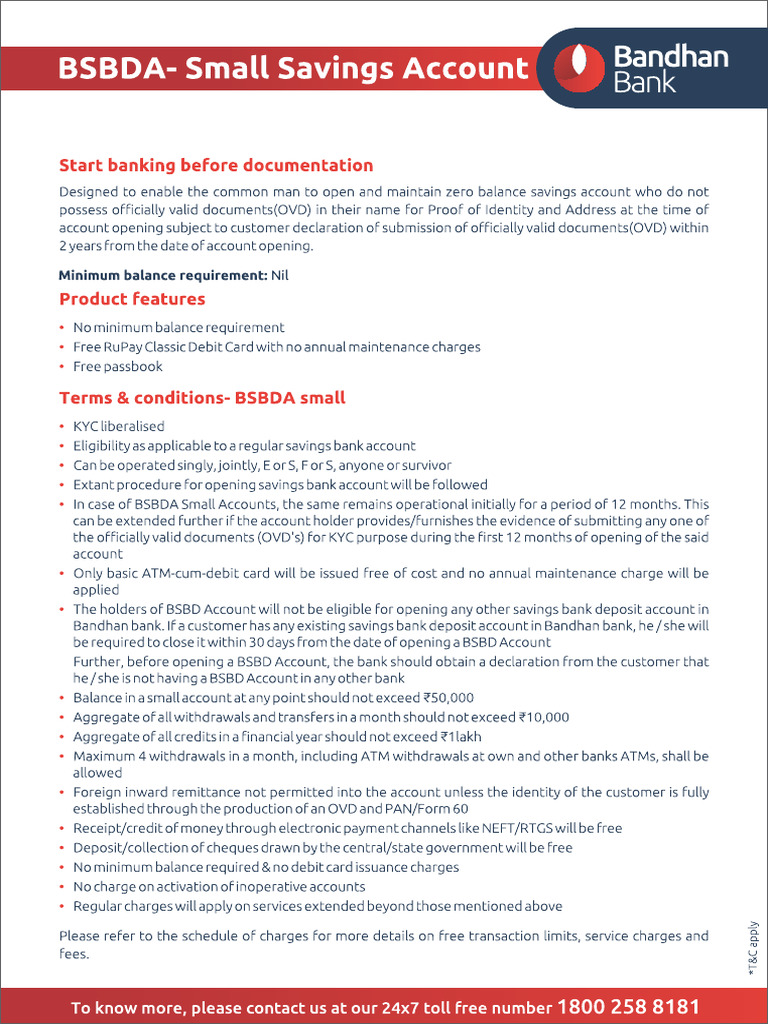 BSBDA - Small Savings Account | PDF