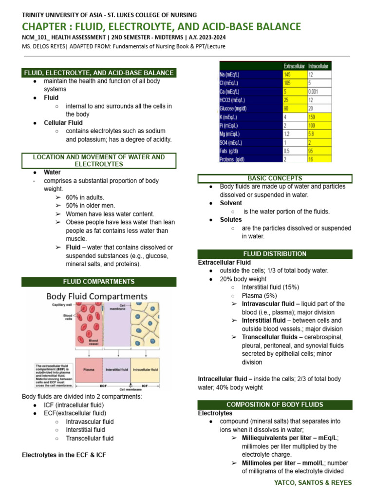 Fluid and Electrolyte Balance Guide | PDF | Intravenous Therapy ...