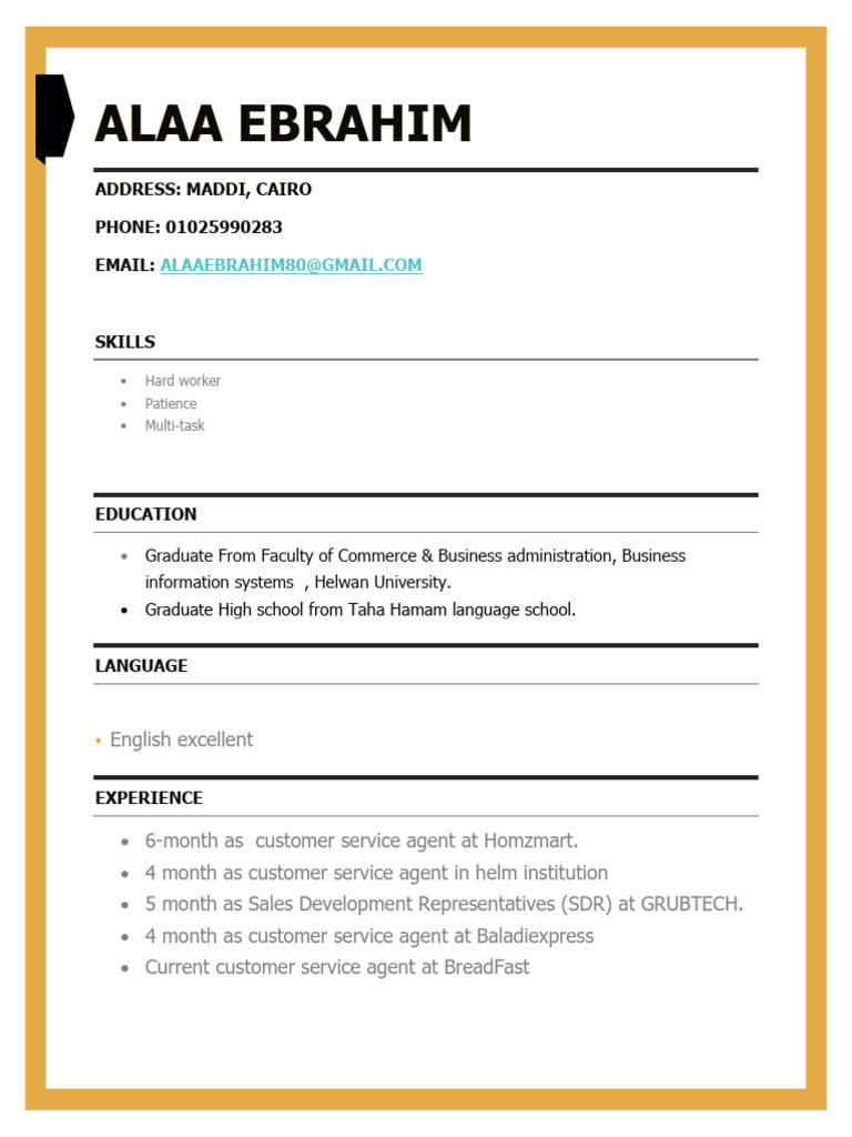 Alaa Ebrahim Resume | PDF