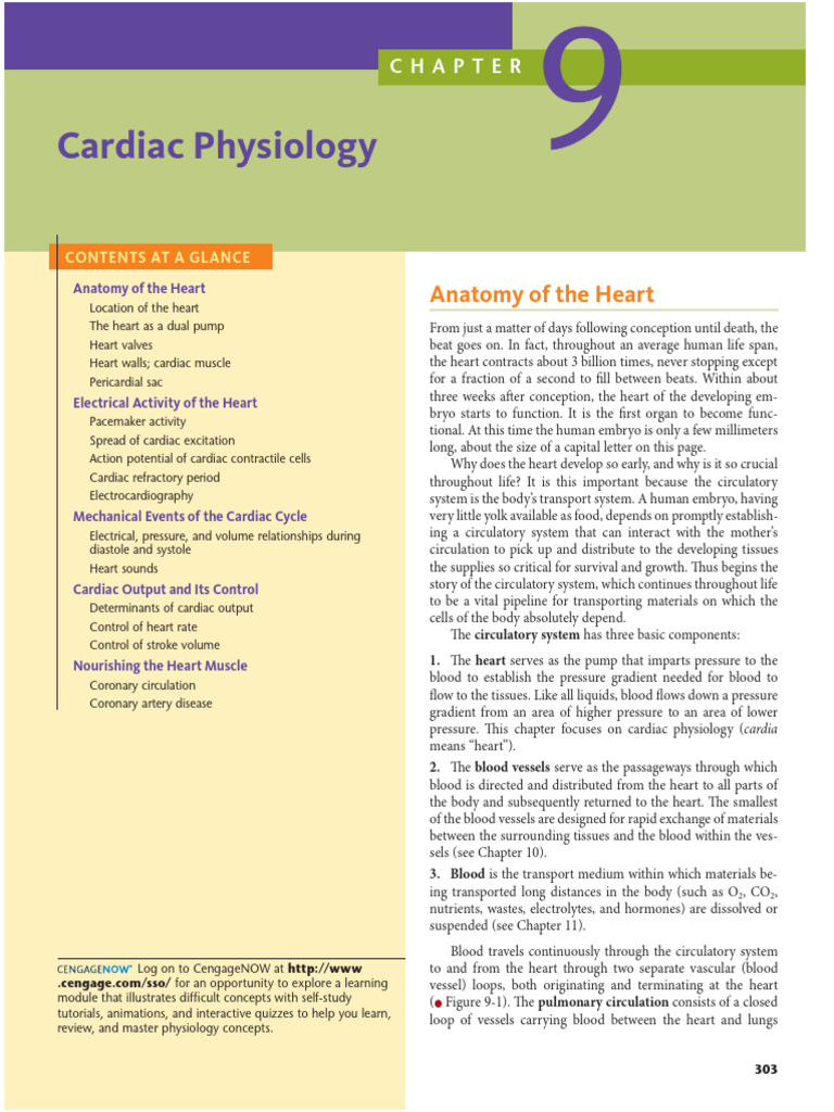 Heart Anatomy and Function Explained | PDF | Heart Valve | Circulatory ...