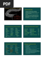 Download Evolusi Invertebrata Bahan Untuk PLPG by alit widnyana SN92481512 doc pdf