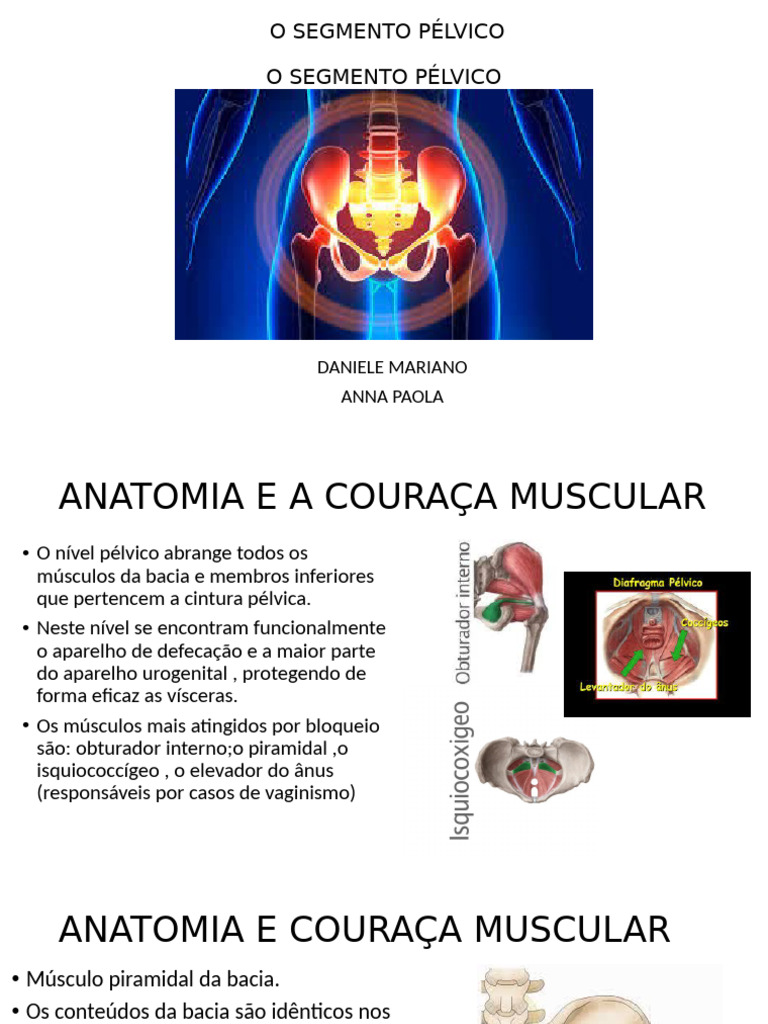 Sem10 Pelv Apres Parte 2 2019 | PDF | Pélvis