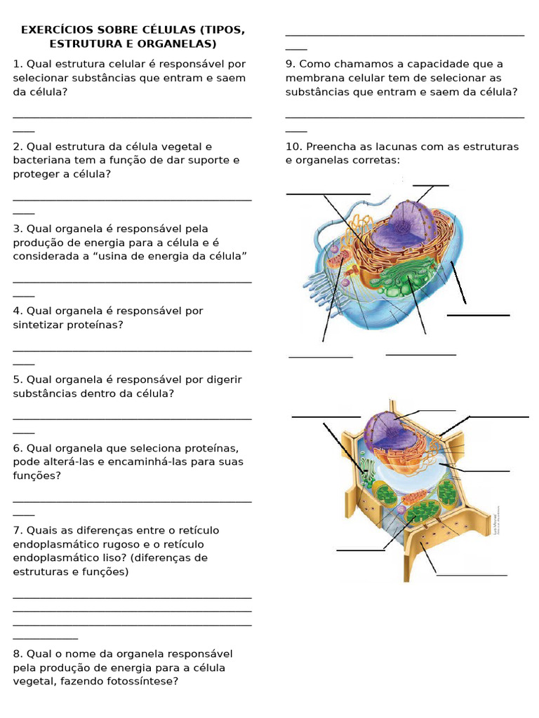 Exercícios sobre Células e Organelas | PDF