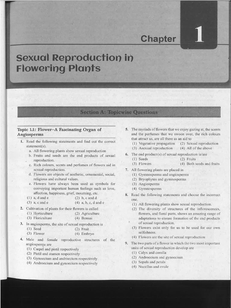 Sexual Reproduction in Flowering Plants | PDF | Plants | Biology