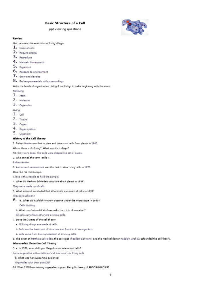 Understanding Cell Structure and Function | PDF | Endoplasmic Reticulum ...